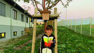 Finished insect hotel